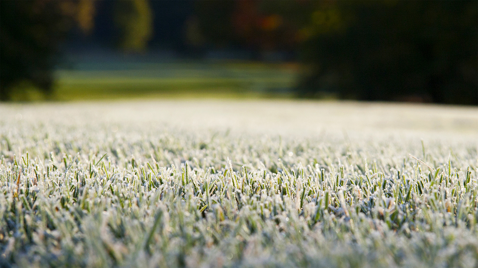 How Cold is Too Cold for Golf