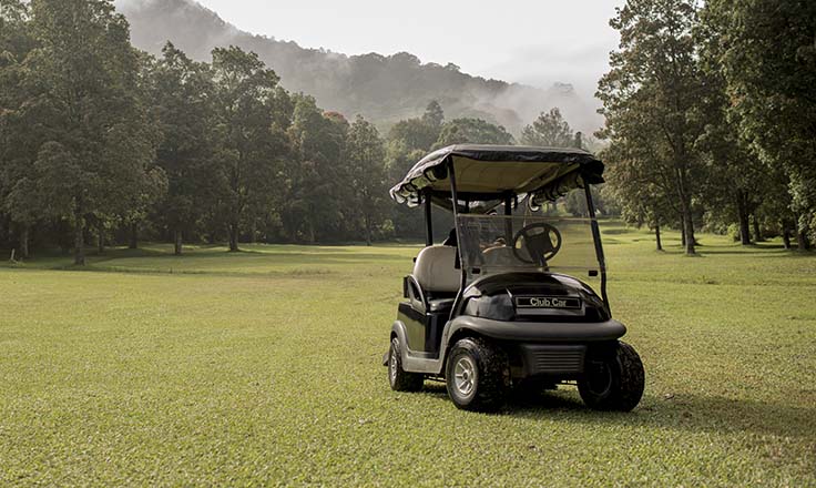 What Happens When Golf Cart Batteries Run Dry?